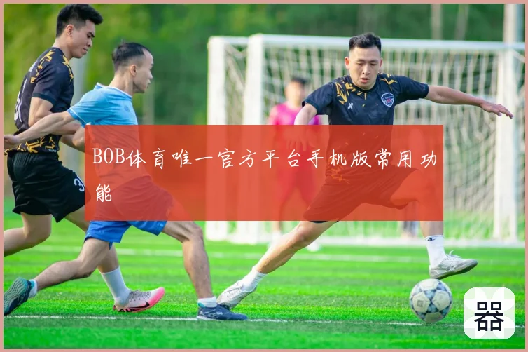 BOB体育唯一官方平台手机版常用功能
